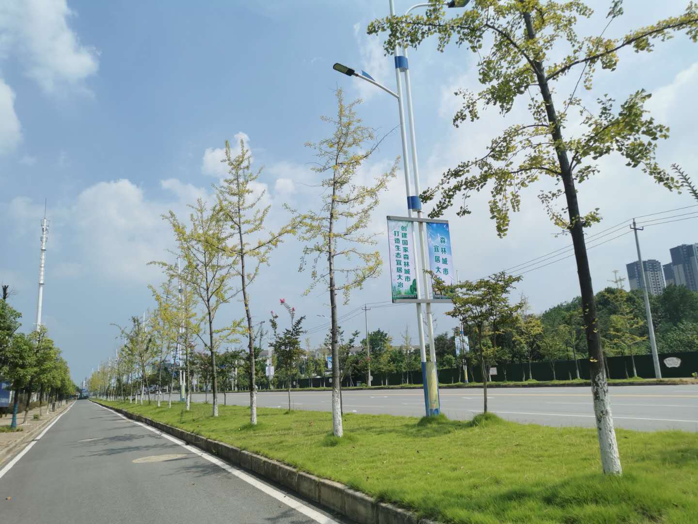 站前大道綠化-03